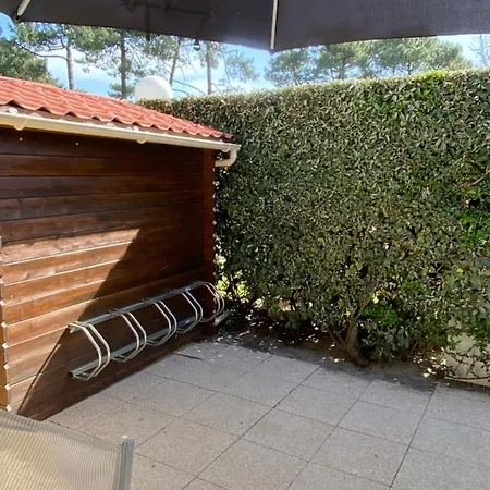 Patio * 카브레톤