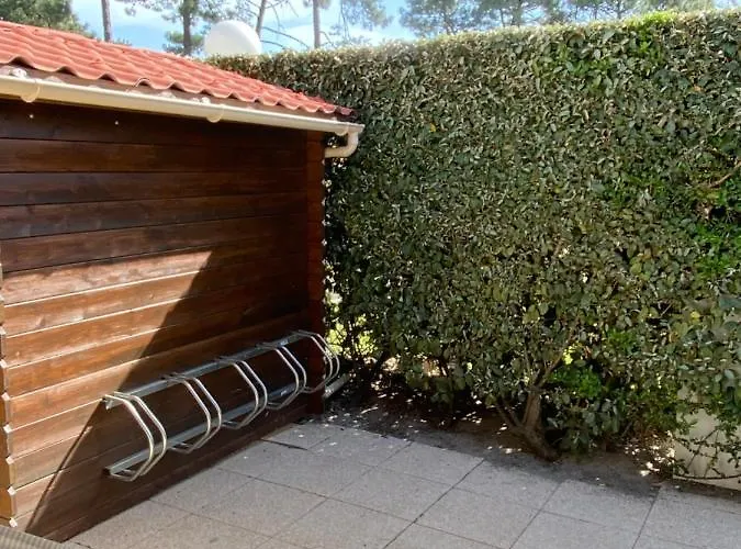 Patio * קפברטון